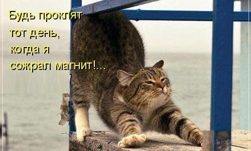 Светлана Иванова | Нижний Новгород