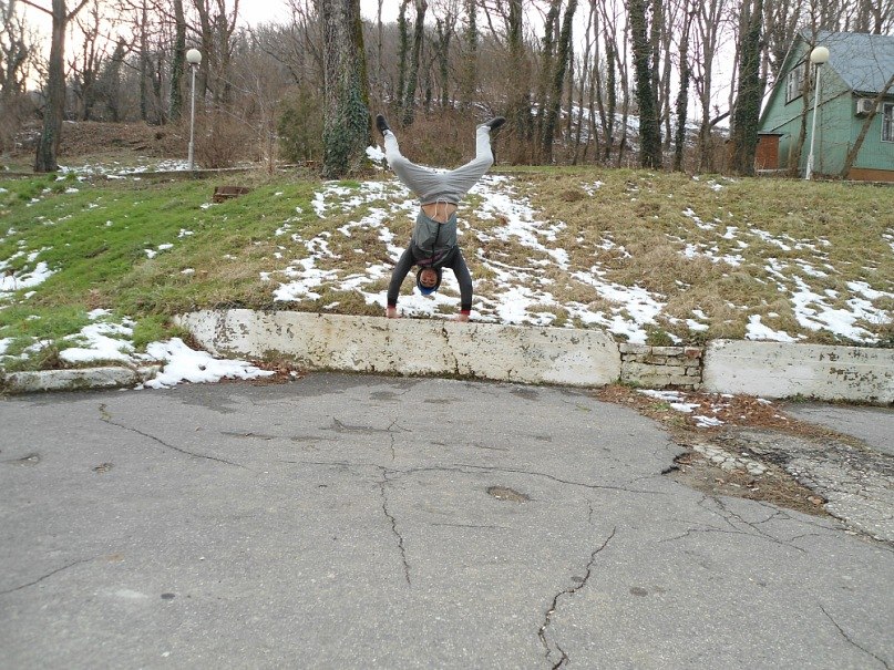 Нестер Шайбегян | 