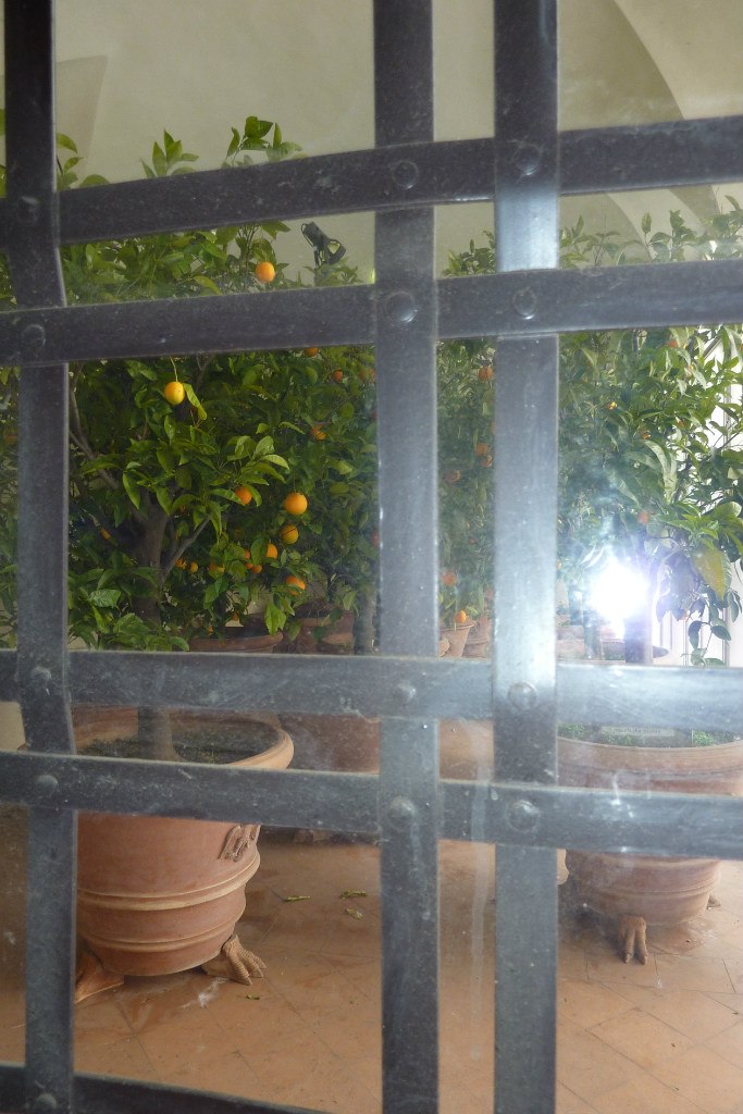 Юлия Чуйкова | Johannesburg