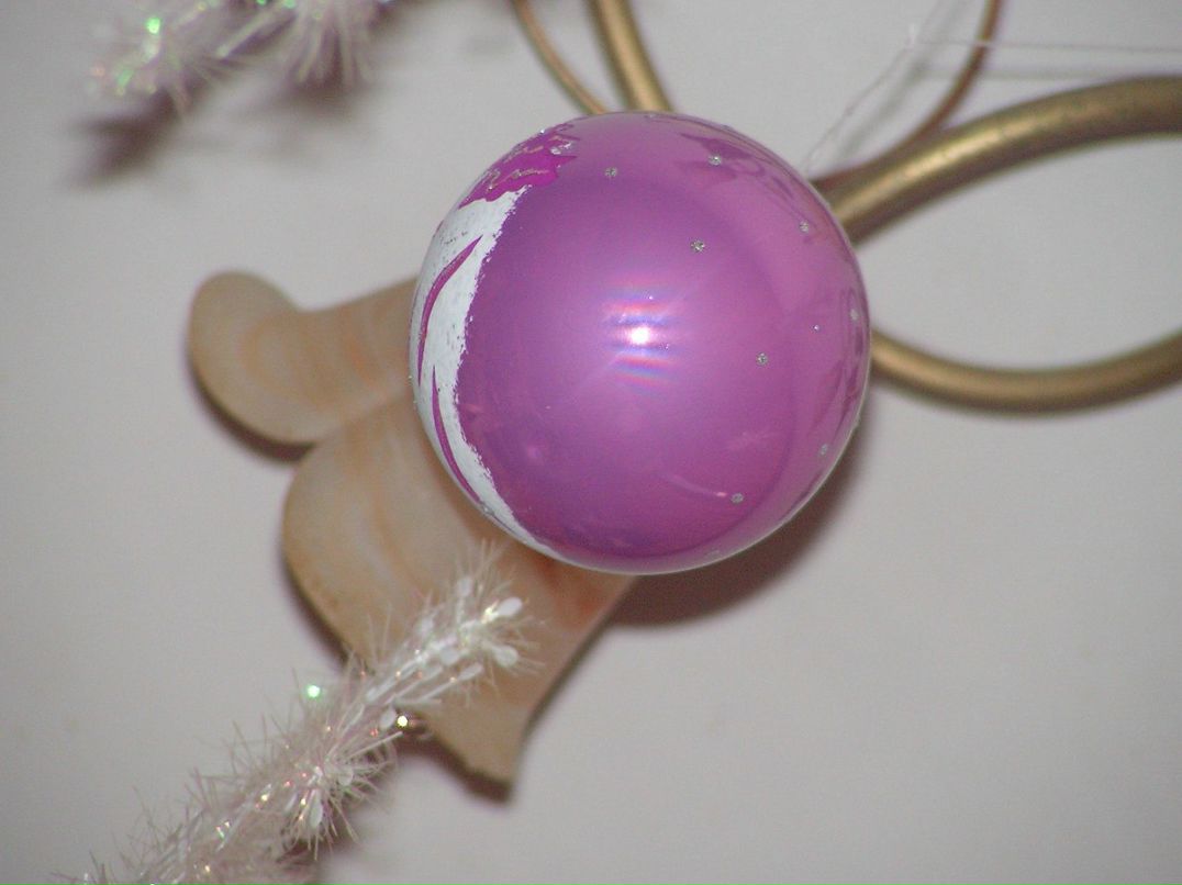 Даша Трошкова | Великий Новгород