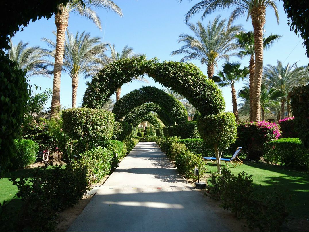 Екатерина Шманина | Москва