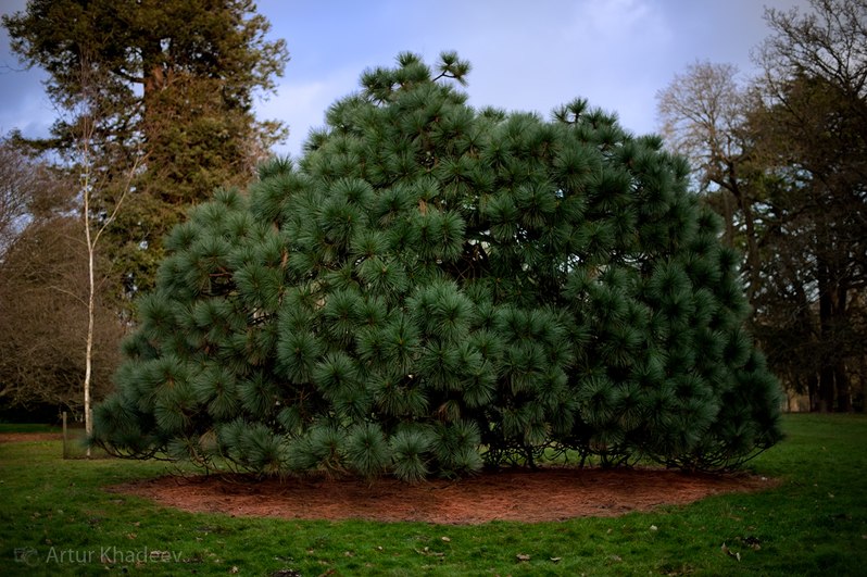 Артур Хадеев | Казань