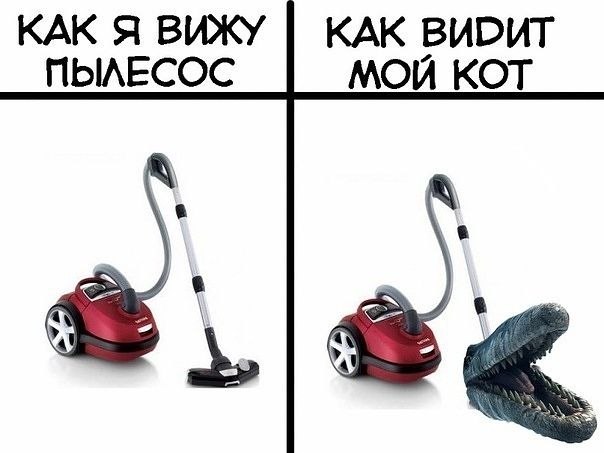 №145, Катерина Медведь, 25.07.1991, Одесса №145, Катерина Медведь, 25.07.1991, Одесса