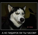 Фотография Роман Глухих