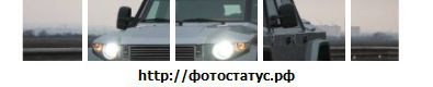 Фотография Светик Кондратьева