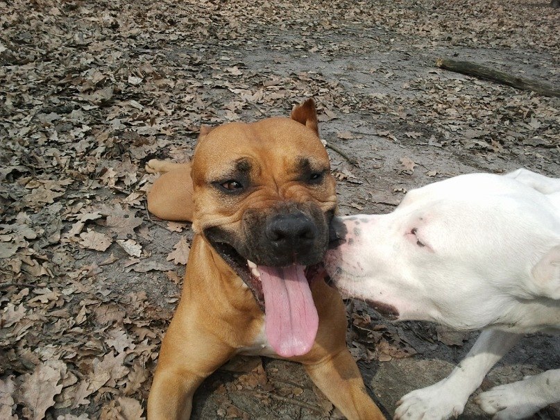 Max Zhmud | Киев