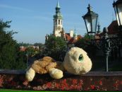 №1 Вера Руж : профиль, фото, статус - ВКонтакте