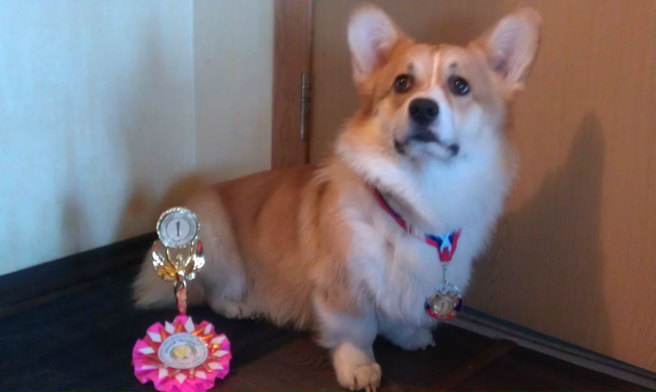 Ольга Муравьева | Екатеринбург