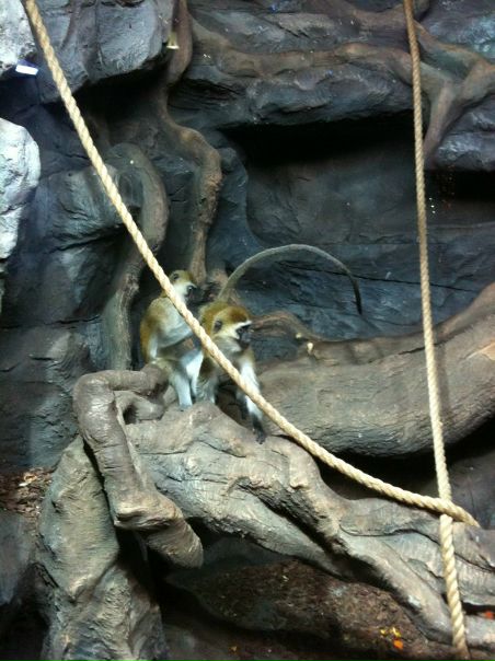 №9, Яна Глушко, Москва, Россия №9, Яна Глушко, Москва, Россия