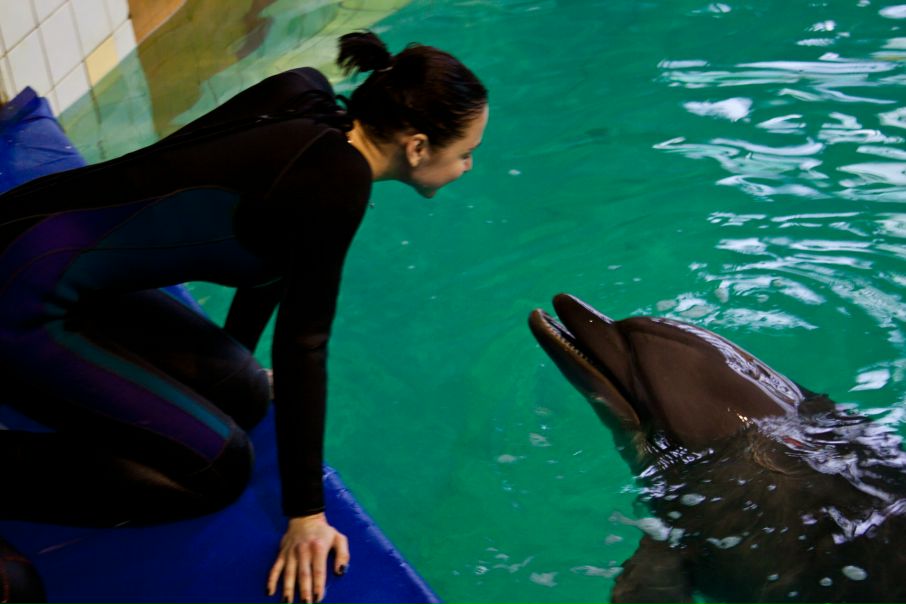 №35, Анна Грицевская, Санкт-Петербург №35, Анна Грицевская, Санкт-Петербург