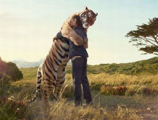 Василий Ветров | Москва