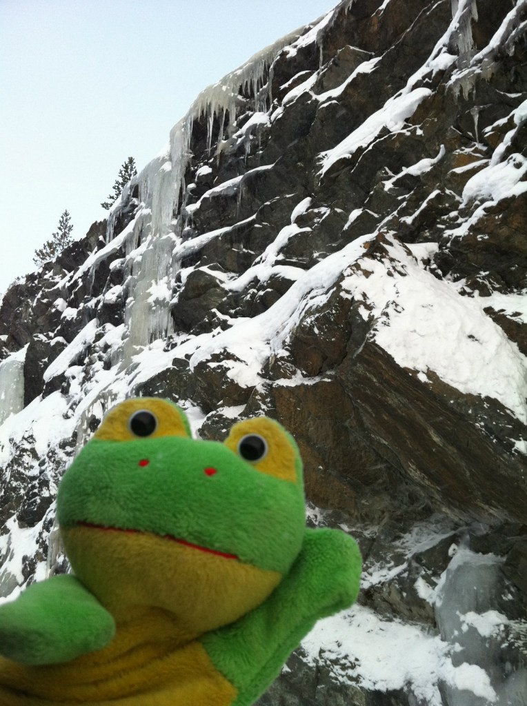 Лягушка Путешественник | 