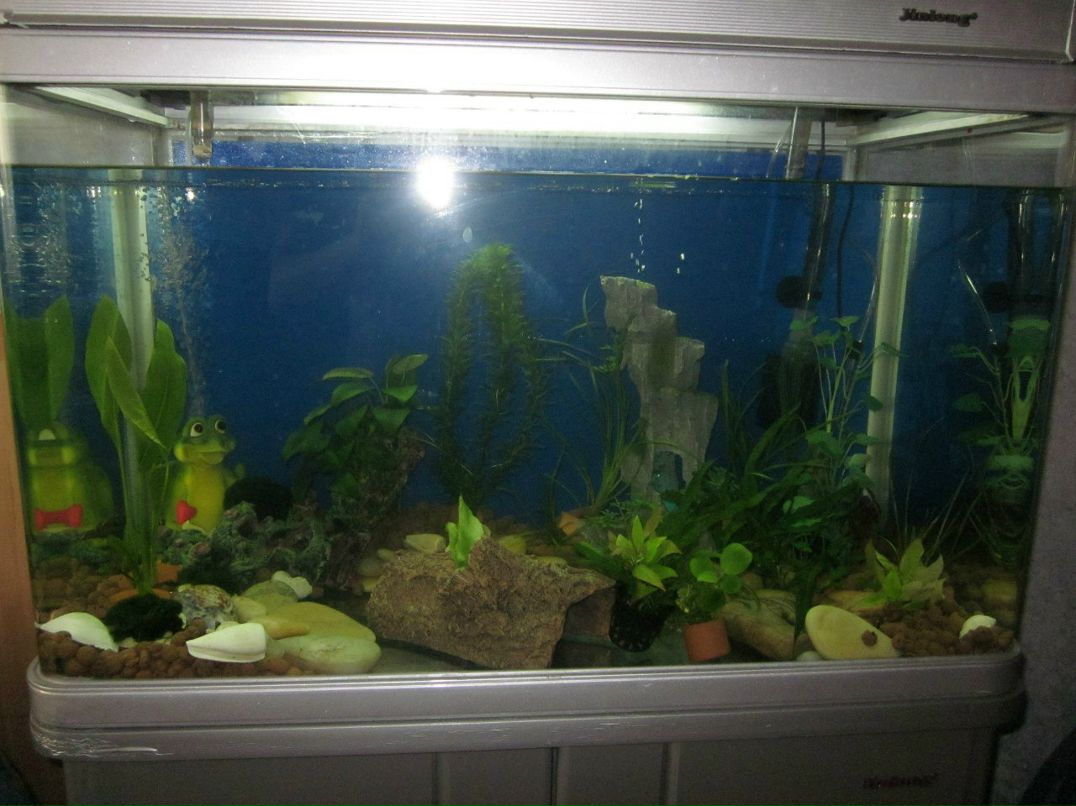 Евгения Адамсон ^Hi-chan^ | Москва