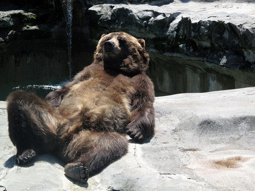 Michael Sent-pierre | Москва