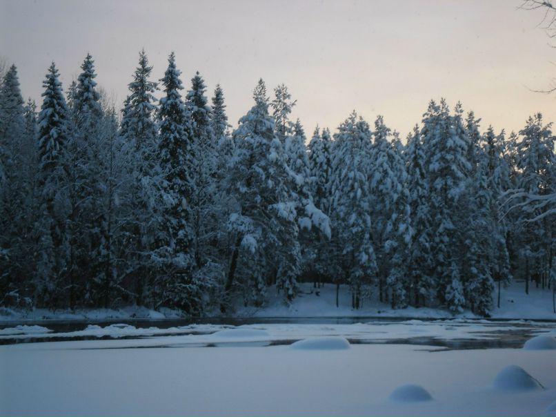 Наташа Андреева | Суоярви