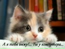 №8 Елена Я 08.09: профиль, фото, статус - ВКонтакте