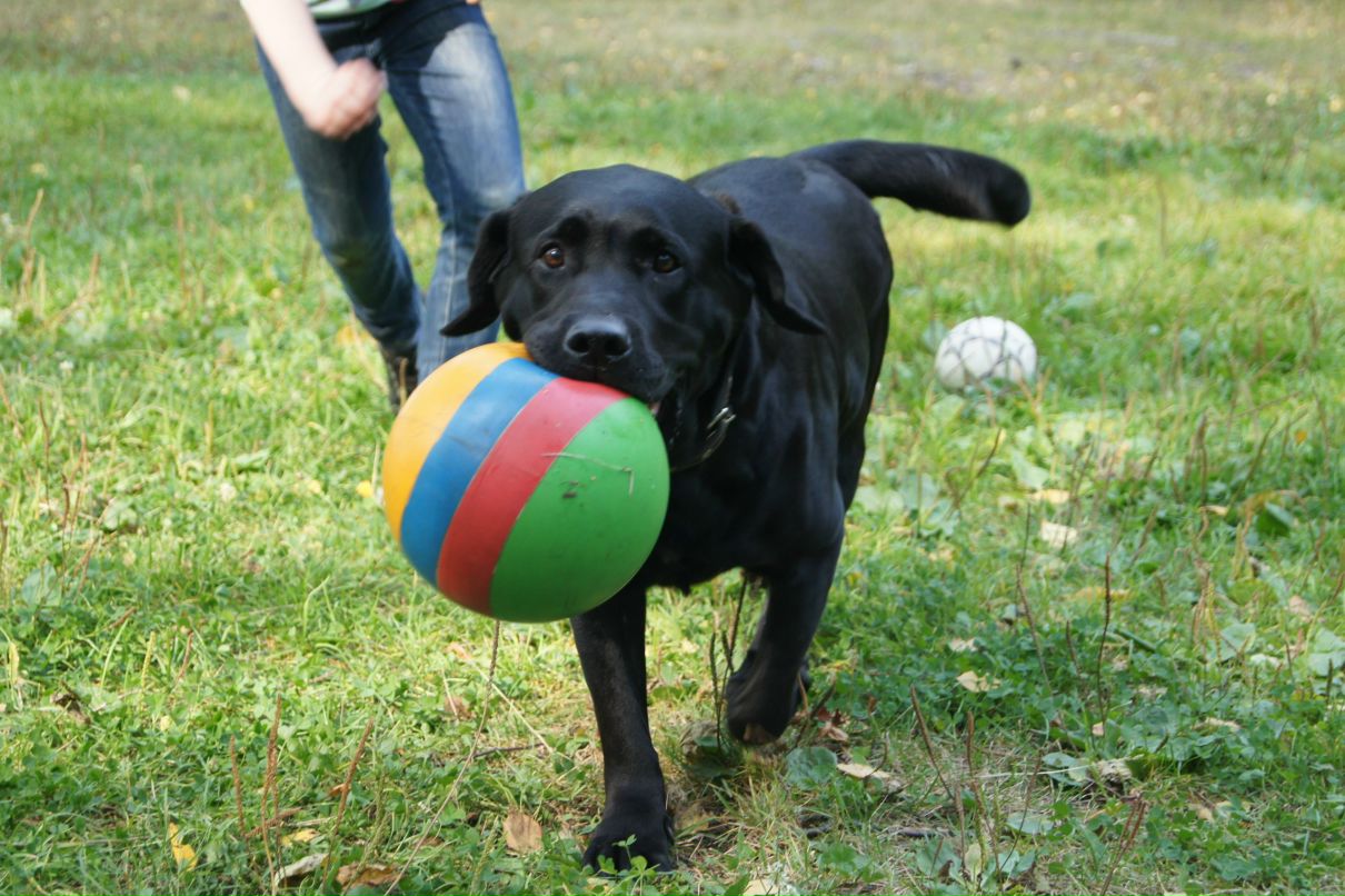 Юлия Попова | Екатеринбург