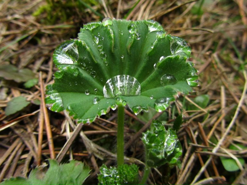 №48, Светлана Клюкина, Санкт-Петербург №48, Светлана Клюкина, Санкт-Петербург