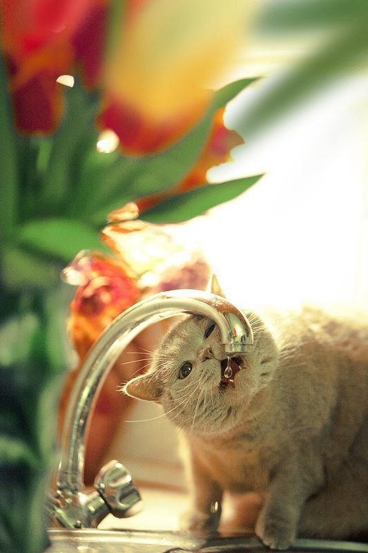 Сергей Глазунов MyRZz★ | Москва