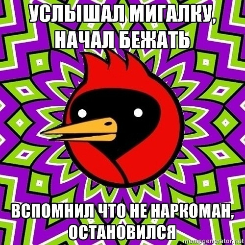 №55, Марина Ханаева №55, Марина Ханаева