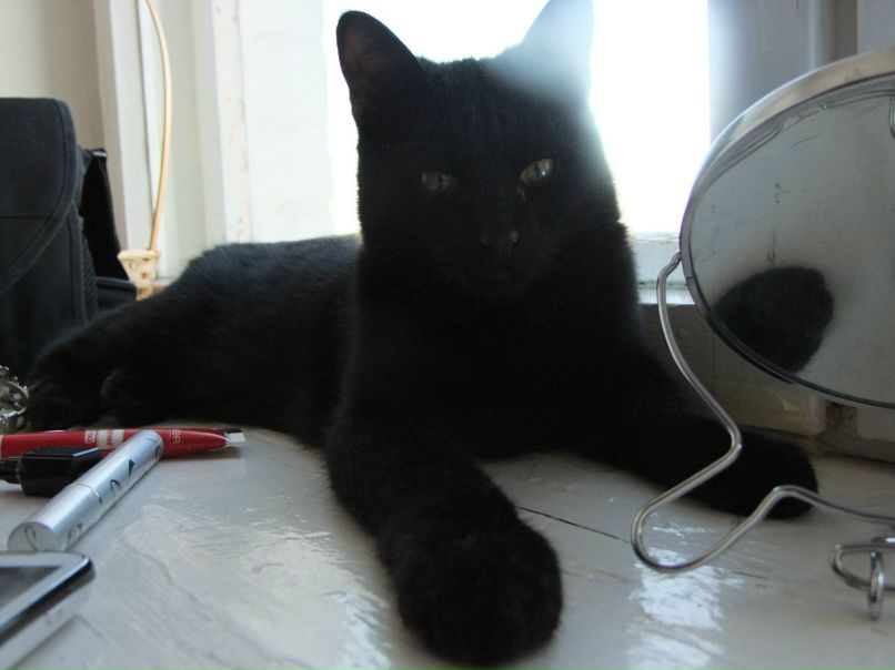 Елена Радучич | Северодвинск