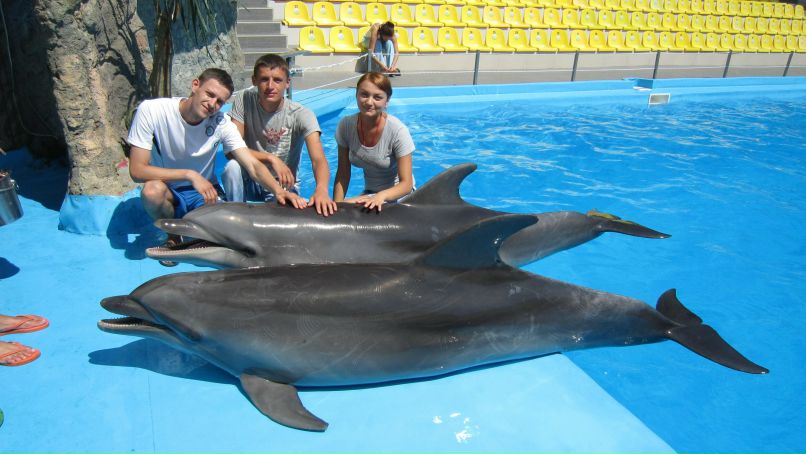 Льоньчик Кордонець | Винница