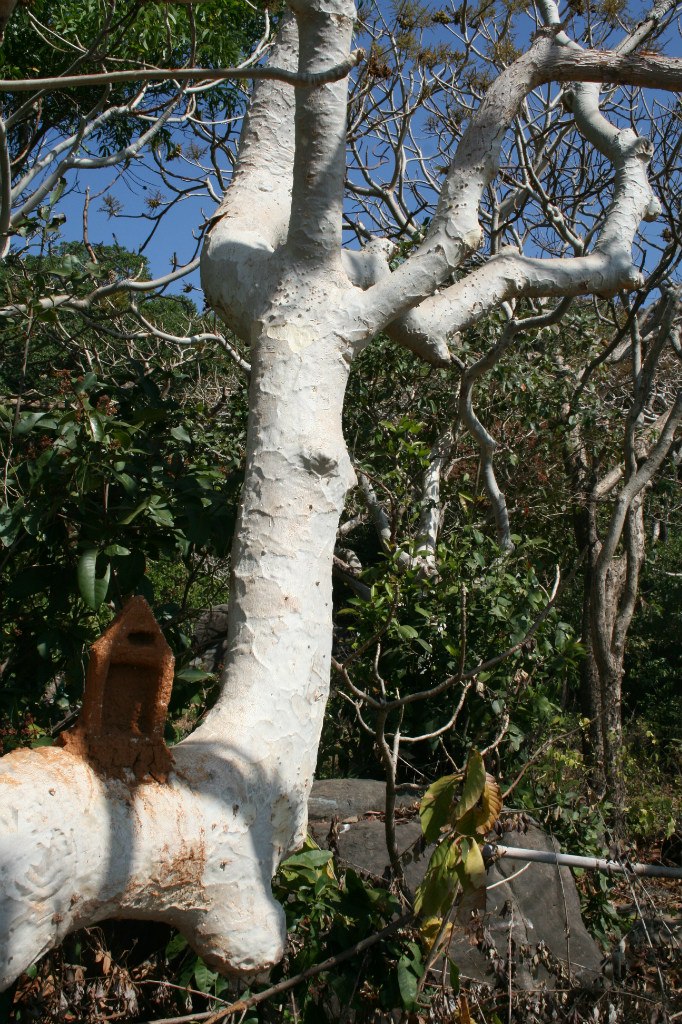 Никита Косов | Москва