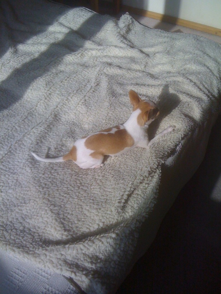 Илья Желнов | Москва