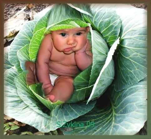 Вова Зубко | Днепр (Днепропетровск)