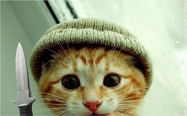 Екатерина Ефимова | Тольятти