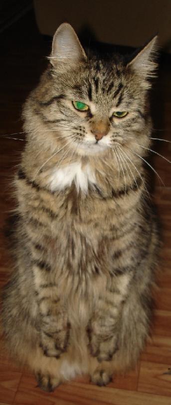 Ольга Кулакова | Monaco