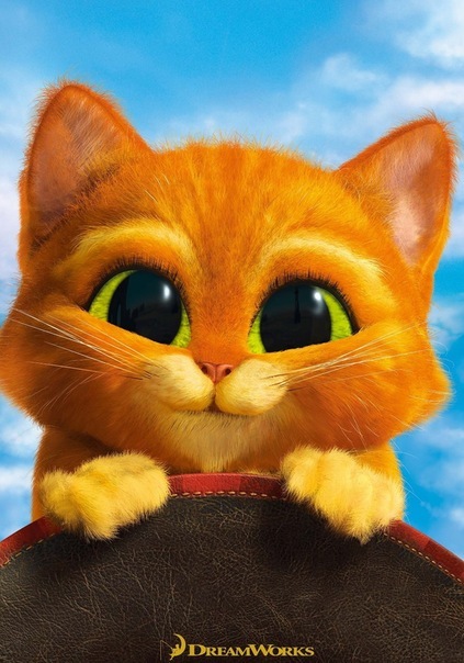 №6, Даша Романчук №6, Даша Романчук