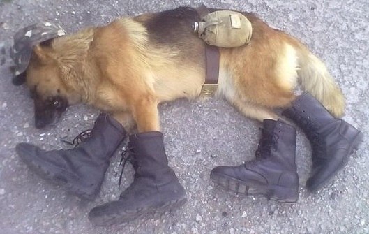 Павел Крючок Анатольевич | Haarlem