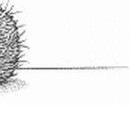 №37, Вера Милюхина, Тюмень №37, Вера Милюхина, Тюмень