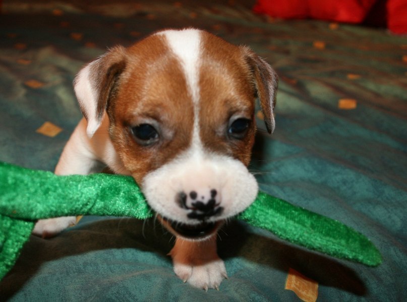 Людмила Прокопенко | Санкт-Петербург