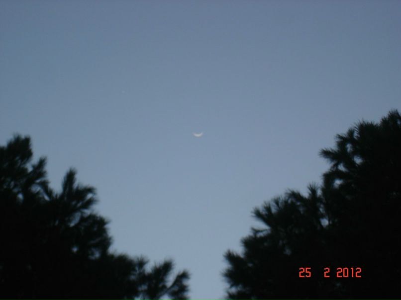 Наталья Карькова | Москва