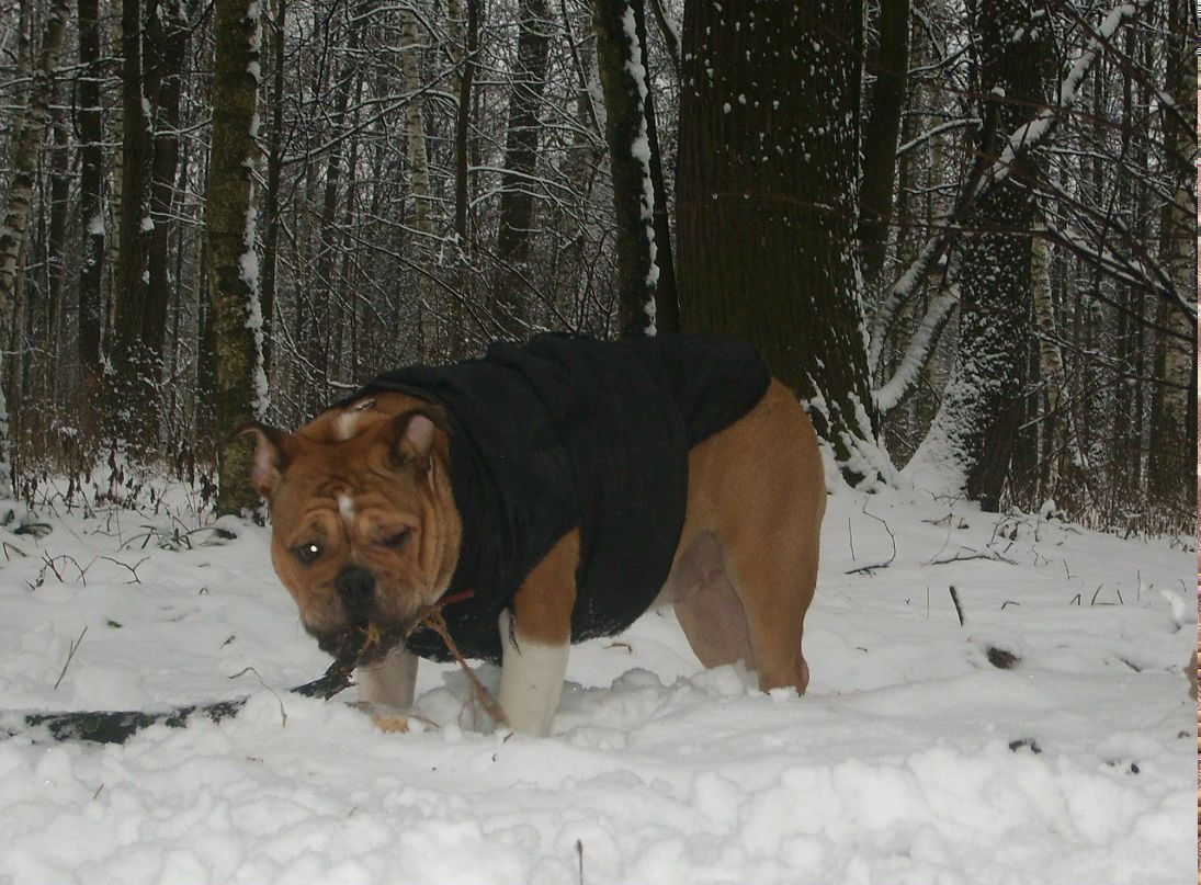 Анна Николаева | 