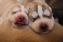 Фотография Иванова Евгения