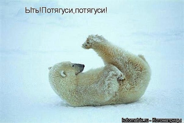 №62, Элеонора Быстрицкая, 5.6.1998 №62, Элеонора Быстрицкая, 5.6.1998