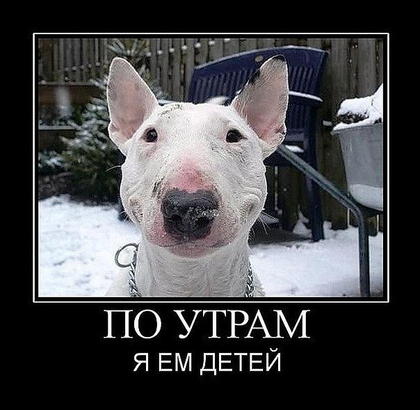 Потерявшая Совесть =^-^= | Киев