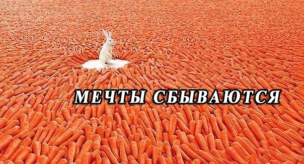 Дмитрий Иванов | Санкт-Петербург