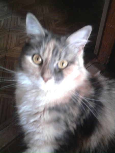 №123, Алекс Бирсак, Москва №123, Алекс Бирсак, Москва