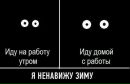 Фотография Екатерина Лихоманенко