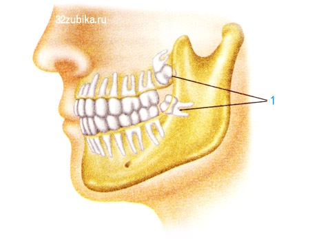 №45, Алекс Undead, Москва №45, Алекс Undead, Москва