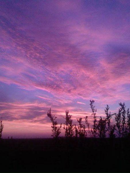 №1, Анюта Москаленко №1, Анюта Москаленко