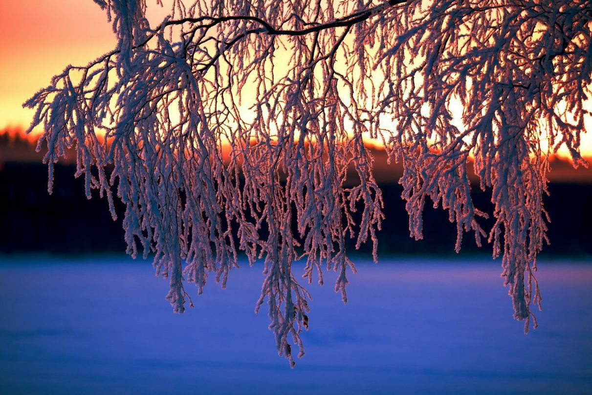 Алексей Мельков 