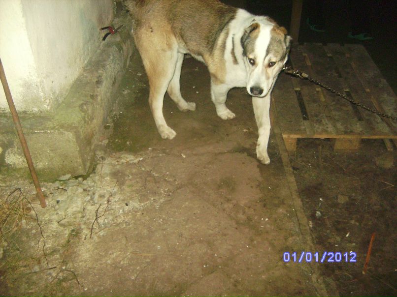 Владимир Андрюшихин | Кировск