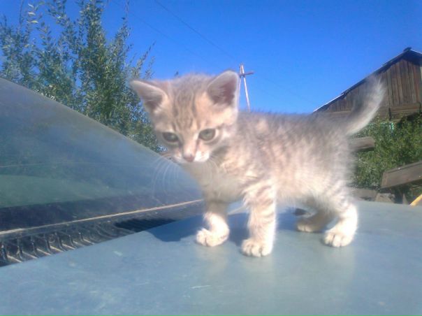 №190, Анна Иванова №190, Анна Иванова