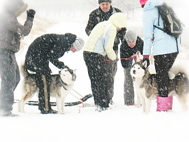 Ekaterina Stukal | Киев
