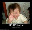 №25 Кирилл Петрашов